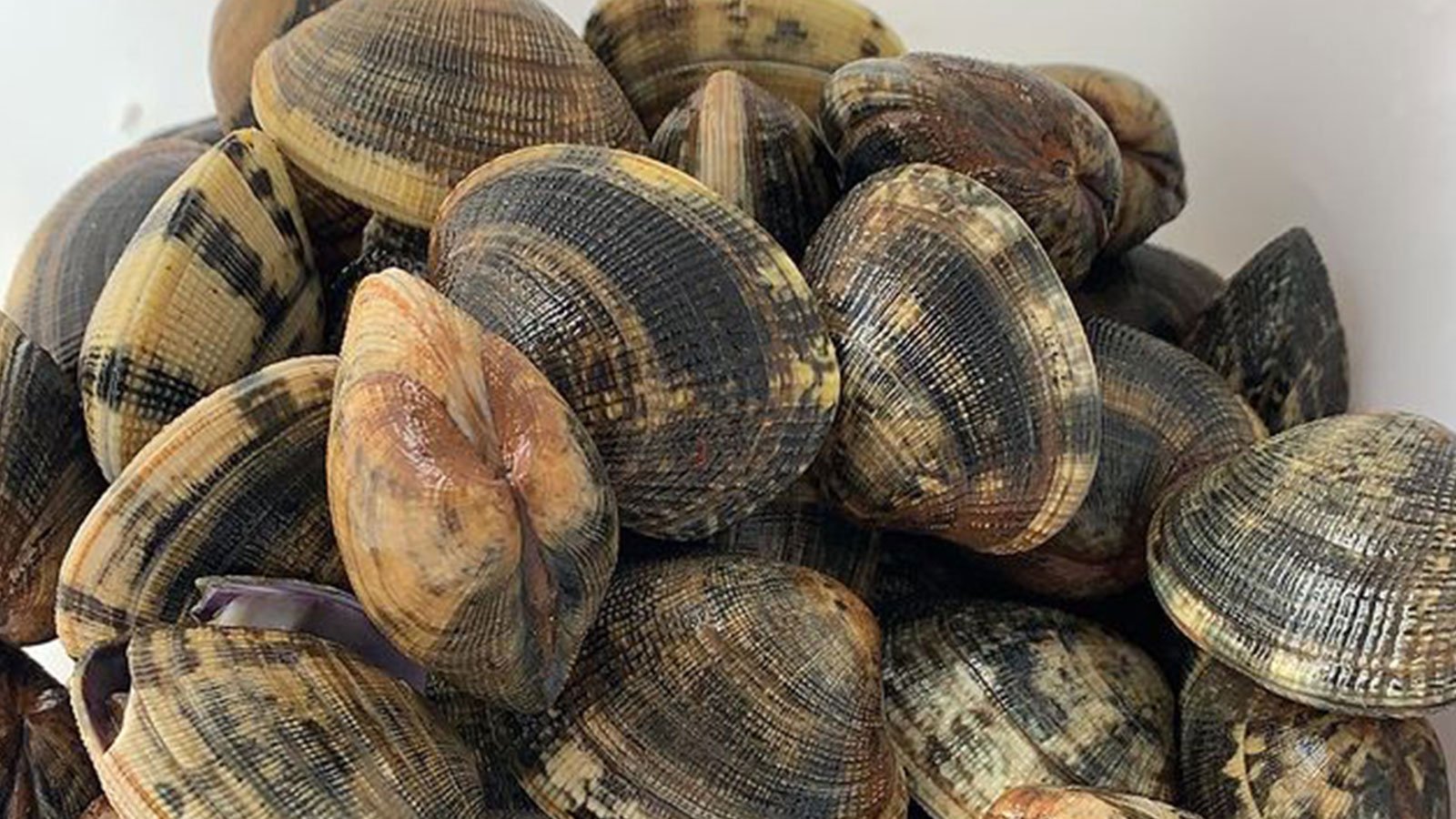 pickup pintxos restaurant folkestone