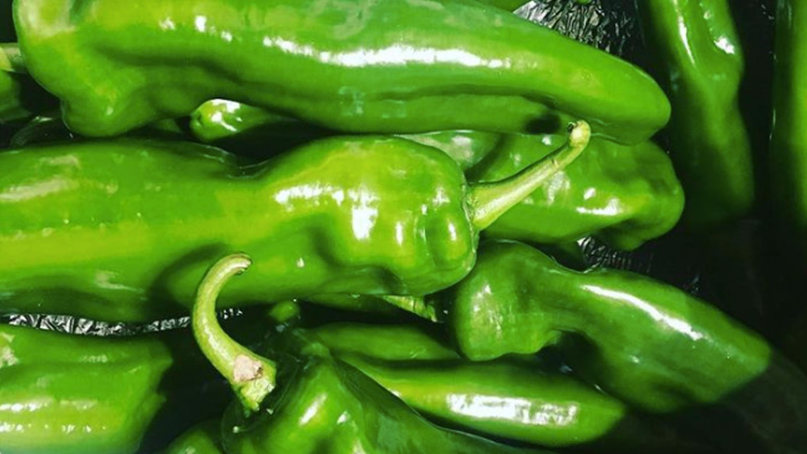 pickup pintxos restaurant folkestone