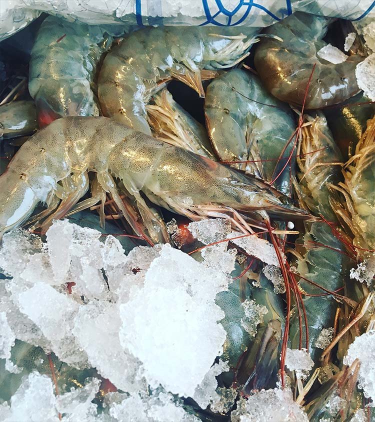 pickup pintxos restaurant folkestone