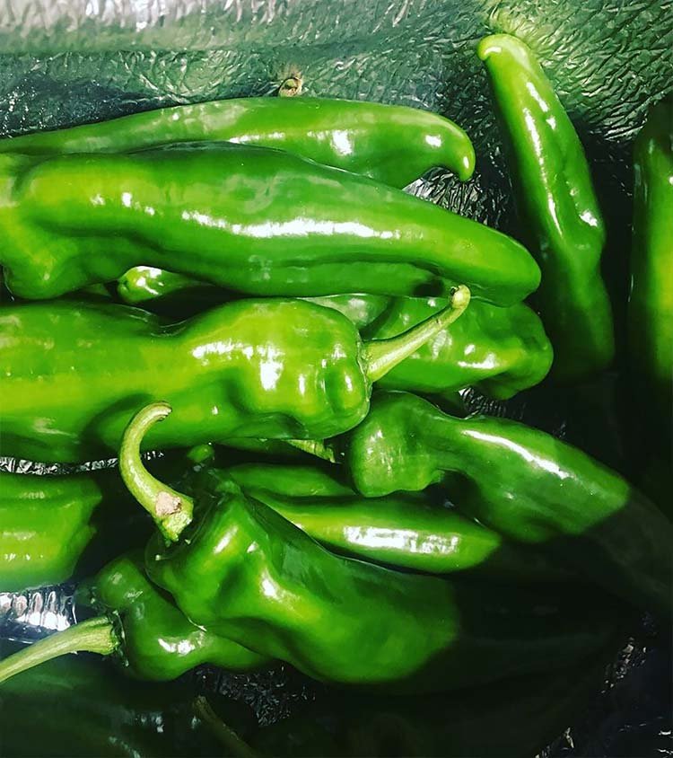 pickup pintxos restaurant folkestone