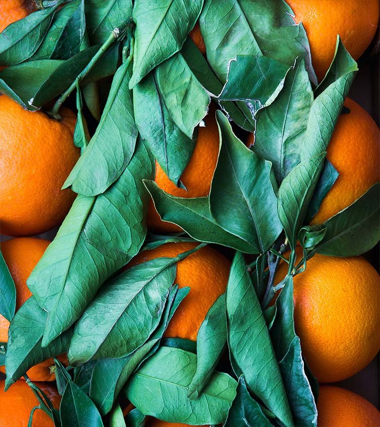 pickup pintxos restaurant folkestone